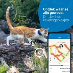 Tractive GPS CAT 4 - Kat GPS Tracker & Activiteitenmonitor - Past Op Meeste Halsbanden - Donkerblauw 14 Tractive GPS CAT 4 - Kat GPS Tracker & Activiteitenmonitor - Past Op Meeste Halsbanden - Donkerblauw -Winkel Voor Kattenbenodigdheden 1200x1200 583
