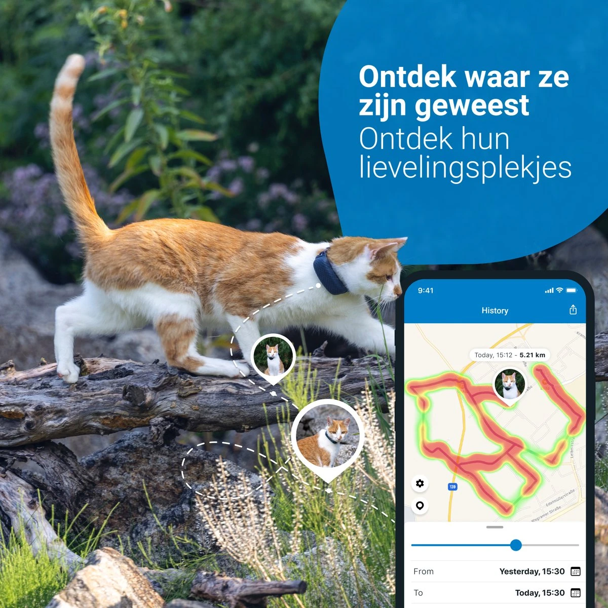 Tractive GPS CAT 4 - Kat GPS Tracker & Activiteitenmonitor - Past Op Meeste Halsbanden - Donkerblauw 7 Tractive GPS CAT 4 - Kat GPS Tracker & Activiteitenmonitor - Past Op Meeste Halsbanden - Donkerblauw - Afbeelding 5