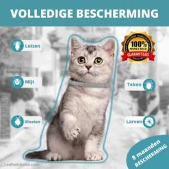 Biologische Vlooien- En Tekenband Voor Katten - BLAUW - Zonder Giftige Pesticiden - Veilig En Verantwoord 14 Biologische Vlooien- En Tekenband Voor Katten - BLAUW - Zonder Giftige Pesticiden - Veilig En Verantwoord -Winkel Voor Kattenbenodigdheden 1200x1200 6