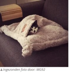 Happy Pet Hugs Snuggle Kattenslaapzak - Grijs - 50 X 50 Cm -Winkel Voor Kattenbenodigdheden 1200x1200 602