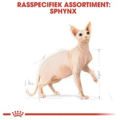 Royal Canin Sphynx Adult - Kattenvoer - 10 Kg -Winkel Voor Kattenbenodigdheden 1200x1200 62