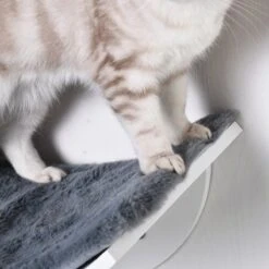 Merkloos Paws And Claws - Cat Shelf – Hangmat Kat – Kattenplank - Kattenbed - Wasbaar – Wandmontage – MDF - Wit -Winkel Voor Kattenbenodigdheden 1200x1200 623