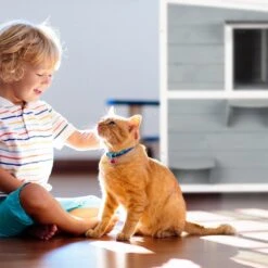 Relaxdays Kattenhuis Buiten - Groot Kattenhok Binnen - Hoog Kattenmeubel Grijs Hout - Tuin 16 Relaxdays Kattenhuis Buiten - Groot Kattenhok Binnen - Hoog Kattenmeubel Grijs Hout - Tuin -Winkel Voor Kattenbenodigdheden 1200x1200 625