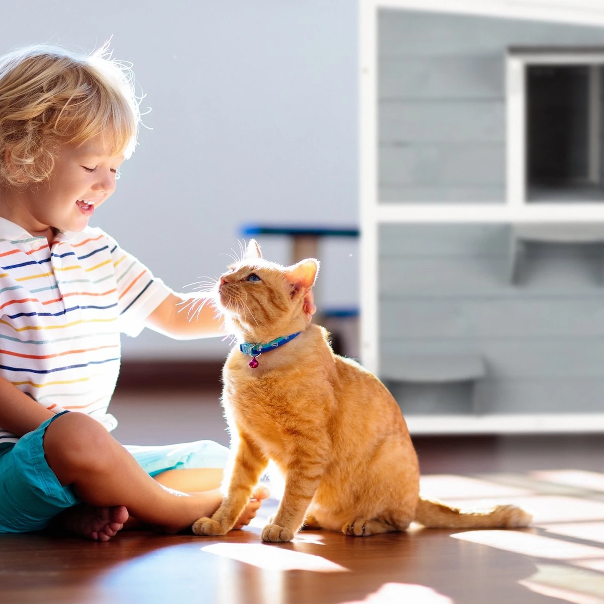 Relaxdays Kattenhuis Buiten - Groot Kattenhok Binnen - Hoog Kattenmeubel Grijs Hout - Tuin 7 Relaxdays Kattenhuis Buiten - Groot Kattenhok Binnen - Hoog Kattenmeubel Grijs Hout - Tuin - Afbeelding 5