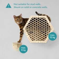 Navaris Katten Klimwand 4-delige Set - Katten Klimmuur Voor Binnenshuis - Kattenmeubel Met Wandmontage - Met Drie Plankjes Voor Meer Klimplezier 11 Navaris Katten Klimwand 4-delige Set - Katten Klimmuur Voor Binnenshuis - Kattenmeubel Met Wandmontage - Met Drie Plankjes Voor Meer Klimplezier -Winkel Voor Kattenbenodigdheden 1200x1200 629