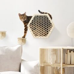 Navaris Katten Klimwand 4-delige Set - Katten Klimmuur Voor Binnenshuis - Kattenmeubel Met Wandmontage - Met Drie Plankjes Voor Meer Klimplezier 13 Navaris Katten Klimwand 4-delige Set - Katten Klimmuur Voor Binnenshuis - Kattenmeubel Met Wandmontage - Met Drie Plankjes Voor Meer Klimplezier -Winkel Voor Kattenbenodigdheden 1200x1200 630