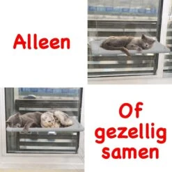 Merkloos Kattenhangmat - Kattenbed - Hangmat Kat Raam Ook Voor Radiator En Deur - Kattenmand Raam En Radiator - Katten Hangmat - Radiatorhangmat Kat Kattenstoel - Tijdelijk Met Extra Hangmat Hoes -Winkel Voor Kattenbenodigdheden 1200x1200 653