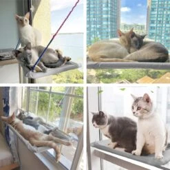 Merkloos Kattenhangmat - Kattenbed - Hangmat Kat Raam Ook Voor Radiator En Deur - Kattenmand Raam En Radiator - Katten Hangmat - Radiatorhangmat Kat Kattenstoel - Tijdelijk Met Extra Hangmat Hoes -Winkel Voor Kattenbenodigdheden 1200x1200 655