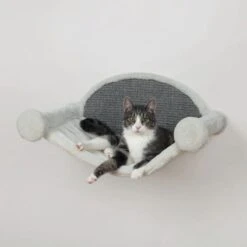 TRIXIE Kattenhangmat 54x28x33 Cm Crèmekleurig En Grijs 49920 -Winkel Voor Kattenbenodigdheden 1200x1200 661