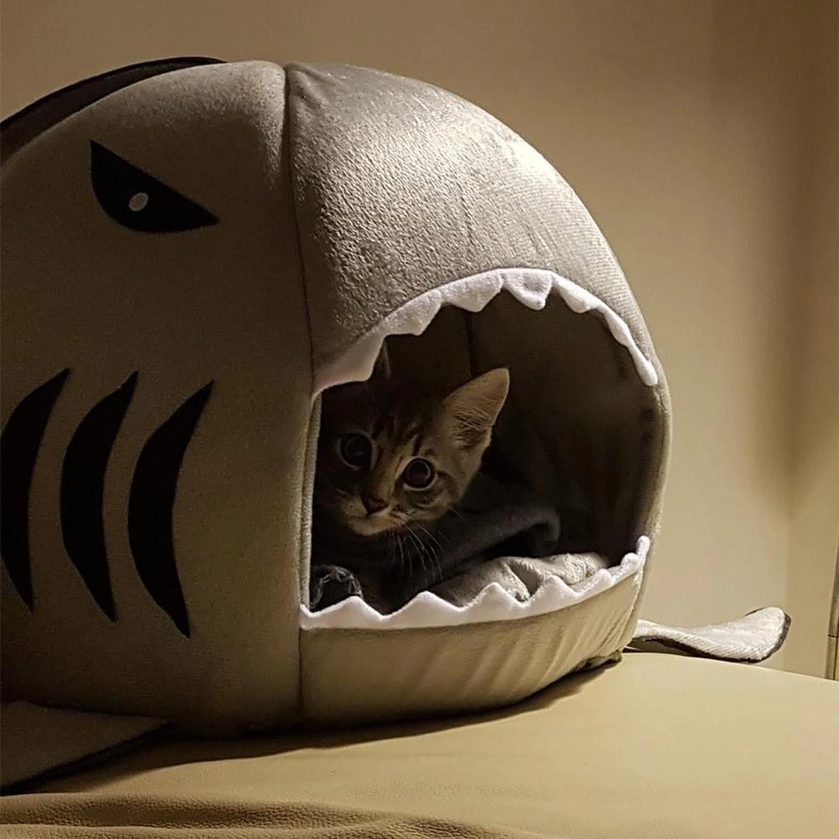 MikaMax Haai Hondenmand - Kattenmand - Dierenmand - Huisdierkussen - Mand Of Bed - Origineel - Extra Zacht Materiaal - 42 X 42 X 36 Cm 7 MikaMax Haai Hondenmand - Kattenmand - Dierenmand - Huisdierkussen - Mand Of Bed - Origineel - Extra Zacht Materiaal - 42 X 42 X 36 Cm - Afbeelding 5