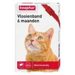 Beaphar Vlooienband Kat - Rood - 1 Stuk -Winkel Voor Kattenbenodigdheden 1200x1200 7