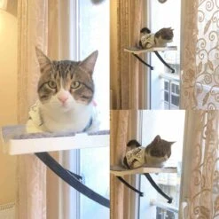 Hobipets - Kattenmand Raam - 5 Zuignappen - Hangmat Kat Raam -Winkel Voor Kattenbenodigdheden 1200x1200 708