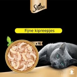 Sheba Filets - Katten Natvoer In Saus - Kipfilet Stukjes - 16 X 60 Gr 7 Sheba Filets - Katten Natvoer In Saus - Kipfilet Stukjes - 16 X 60 Gr -Winkel Voor Kattenbenodigdheden 1200x1200 72