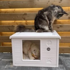 RHRQuality Kattenhuis Voor Binnen En Buiten Kattenhok Villa De Luxe Wit 60cm 12 RHRQuality Kattenhuis Voor Binnen En Buiten Kattenhok Villa De Luxe Wit 60cm -Winkel Voor Kattenbenodigdheden 1200x1200 734