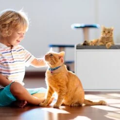 Relaxdays Kattenbak Ombouw - Met Zitkussen - Kattenhuis Wit - Kattenmeubel - Kattenkast 15 Relaxdays Kattenbak Ombouw - Met Zitkussen - Kattenhuis Wit - Kattenmeubel - Kattenkast -Winkel Voor Kattenbenodigdheden 1200x1200 739