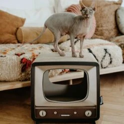 District 70 TELLY - Retro TV Krabmeubel - Instagrammable Kartonnen TV Voor Katten - 39 X 27 X 37 Cm 17 District 70 TELLY - Retro TV Krabmeubel - Instagrammable Kartonnen TV Voor Katten - 39 X 27 X 37 Cm -Winkel Voor Kattenbenodigdheden 1200x1200 743
