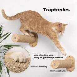 Klimmuur Kat XXL Editie - Krabpaal - Katten Klimmuur - Katten Klim Wand - Met Hangmat -Winkel Voor Kattenbenodigdheden 1200x1200 755