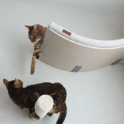 COSY AND DOZY Cat Shelf Deluxe WIT – Hangmat Kat – Maple Hout - 90 X 41 Cm - Kattenplank - Katten Muur -Winkel Voor Kattenbenodigdheden 1200x1200 782