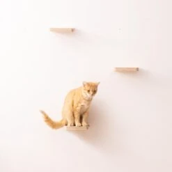 Navaris Katten Klimmuur 3 Tredes - 18 X 18 X 1,5 Cm Per Plankje - Katten Klimwand Van Hout - Inclusief Bevestigingsmateriaal -Winkel Voor Kattenbenodigdheden 1200x1200 785