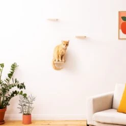 Navaris Katten Klimmuur 3 Tredes - 18 X 18 X 1,5 Cm Per Plankje - Katten Klimwand Van Hout - Inclusief Bevestigingsmateriaal -Winkel Voor Kattenbenodigdheden 1200x1200 786