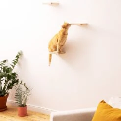 Navaris Katten Klimmuur 3 Tredes - 18 X 18 X 1,5 Cm Per Plankje - Katten Klimwand Van Hout - Inclusief Bevestigingsmateriaal -Winkel Voor Kattenbenodigdheden 1200x1200 787