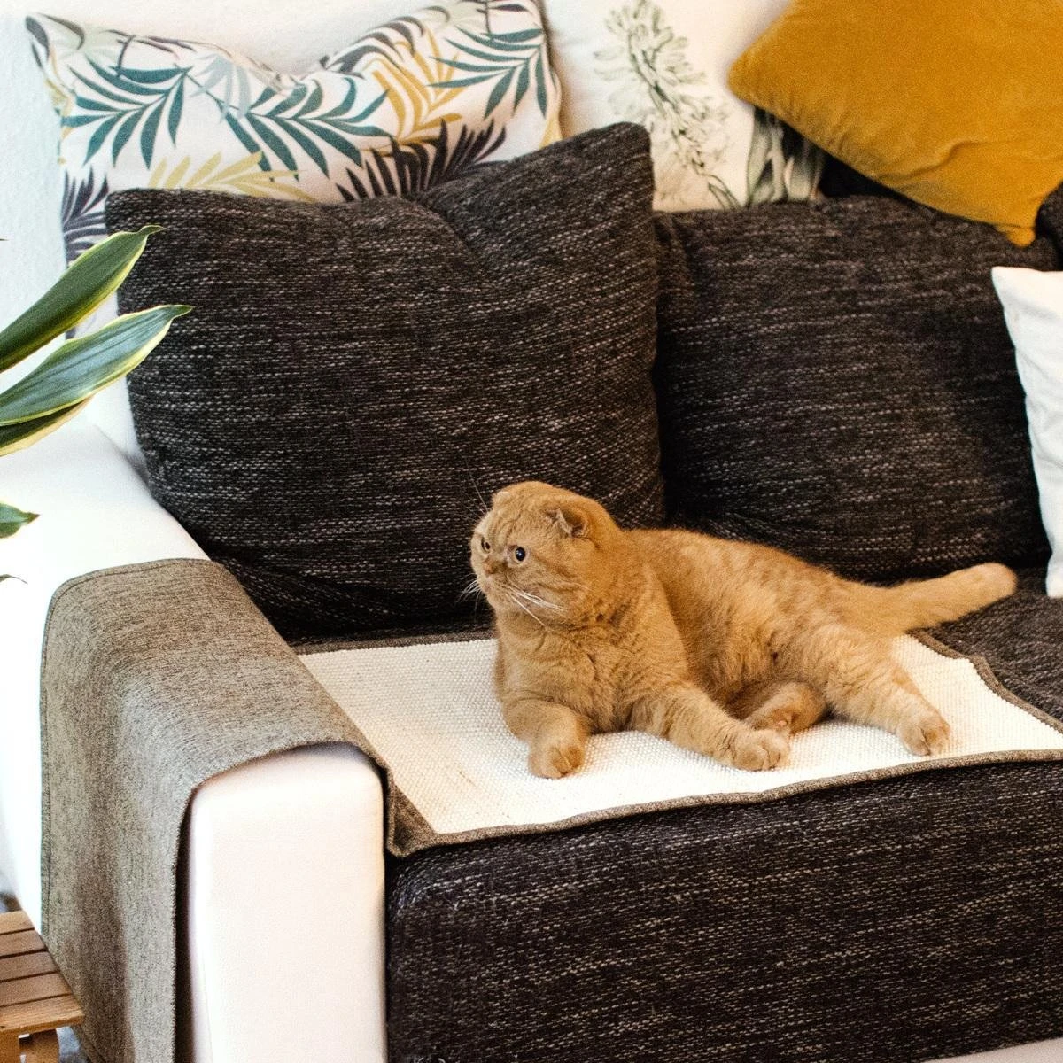 Navaris Krabmat Voor Katten - Krabmat Voor Aan Bank - Krabtapijt Voor Kat - Bankbescherming - Voorkomt Krabschade - 130 X 45 Cm - Sisal En Linnen 7 Navaris Krabmat Voor Katten - Krabmat Voor Aan Bank - Krabtapijt Voor Kat - Bankbescherming - Voorkomt Krabschade - 130 X 45 Cm - Sisal En Linnen - Afbeelding 5