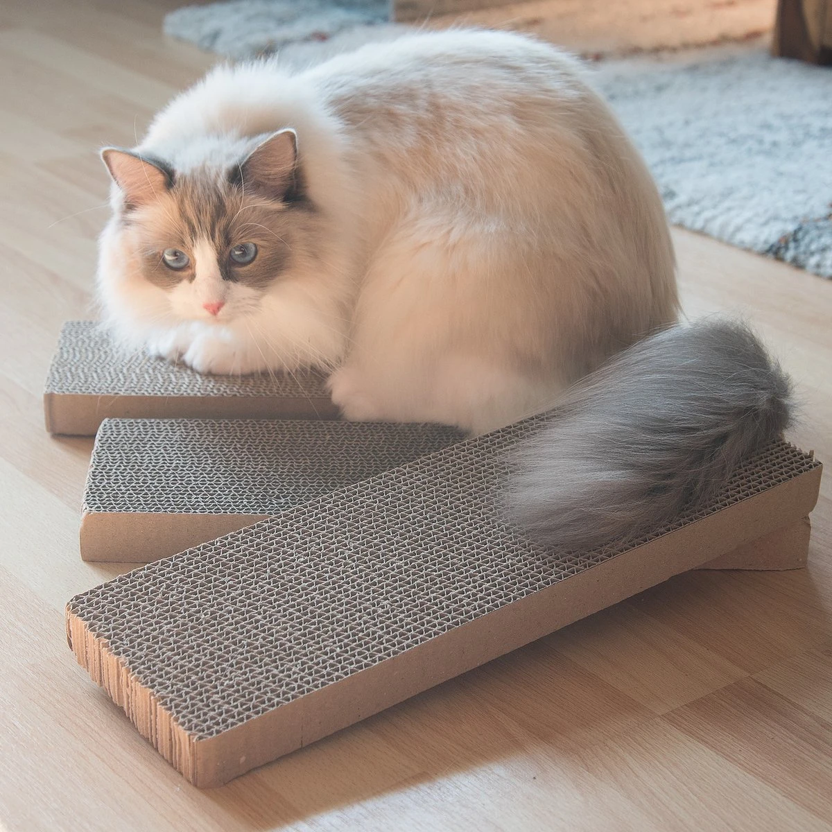 Navaris Kartonnen Krabplanken Voor Katten - Krabkarton Set Van 3 Stuks - 3 Krabmatten - Katten Karton Voor Ontspanning En Spelen 6 Navaris Kartonnen Krabplanken Voor Katten - Krabkarton Set Van 3 Stuks - 3 Krabmatten - Katten Karton Voor Ontspanning En Spelen - Afbeelding 4