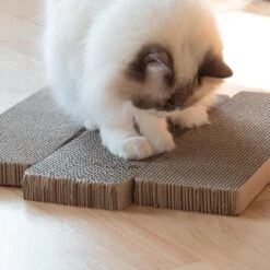 Navaris Kartonnen Krabplanken Voor Katten - Krabkarton Set Van 3 Stuks - 3 Krabmatten - Katten Karton Voor Ontspanning En Spelen 14 Navaris Kartonnen Krabplanken Voor Katten - Krabkarton Set Van 3 Stuks - 3 Krabmatten - Katten Karton Voor Ontspanning En Spelen -Winkel Voor Kattenbenodigdheden 1200x1200 803