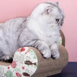 Nobleza 46IIC Design Krabsofa - Krabplank Met Catnip - L54 X B26 X H20 Cm -Winkel Voor Kattenbenodigdheden 1200x1200 809