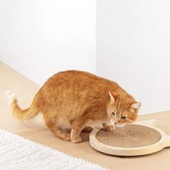 Navaris Houten Krabplank Voor Katten - Krabmat Van Hout En Sisal Voor Aan De Muur - In De Vorm Van Een Kattenkop - Te Bevestigen Met Zuignappen -Winkel Voor Kattenbenodigdheden 1200x1200 815