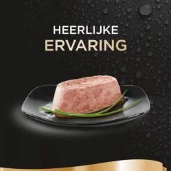 Sheba Perfect Portions Paté Katten Natvoer - Zalm - 48 Stuks -Winkel Voor Kattenbenodigdheden 1200x1200 83