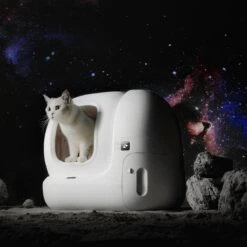 PETKIT® Pura MAX – Automatische Kattenbak – Elektrisch – Kattenbak Zelfreinigend – Bedienen Via De App 15 PETKIT® Pura MAX – Automatische Kattenbak – Elektrisch – Kattenbak Zelfreinigend – Bedienen Via De App -Winkel Voor Kattenbenodigdheden 1200x1200 846