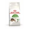 Royal Canin Outdoor - Kattenvoer - 10 Kg -Winkel Voor Kattenbenodigdheden 1200x1200 85