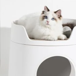 A Sunny Day Kattenbak Met Lade, Bedje En Krabplank - Inclusief Schepje - Design Kattenbak - Wit - Dichte Kattenbak - Kattenbak Gesloten 31 A Sunny Day Kattenbak Met Lade, Bedje En Krabplank - Inclusief Schepje - Design Kattenbak - Wit - Dichte Kattenbak - Kattenbak Gesloten -Winkel Voor Kattenbenodigdheden 1200x1200 870