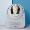 Catlink Smart Litter Box - Scooper Young - Zelfreinigende Kattenbak Zonder Wifi - Kleur Grijs 2 Catlink Smart Litter Box - Scooper Young - Zelfreinigende Kattenbak Zonder Wifi - Kleur Grijs -Winkel Voor Kattenbenodigdheden 1200x1200 886
