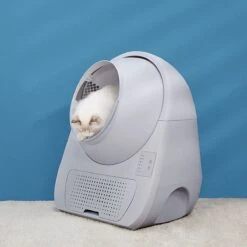 Catlink Smart Litter Box - Scooper Young - Zelfreinigende Kattenbak Zonder Wifi - Kleur Grijs -Winkel Voor Kattenbenodigdheden 1200x1200 888