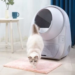 Catlink Smart Litter Box - Scooper Young - Zelfreinigende Kattenbak Zonder Wifi - Kleur Grijs -Winkel Voor Kattenbenodigdheden 1200x1200 890