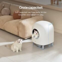 Petree Cube - Zelfreinigende Kattenbak - Automatisch - Bedienen Via De App - Katten - Anti-geur - 60 X 52 X 64 Cm 20 Petree Cube - Zelfreinigende Kattenbak - Automatisch - Bedienen Via De App - Katten - Anti-geur - 60 X 52 X 64 Cm -Winkel Voor Kattenbenodigdheden 1200x1200 909