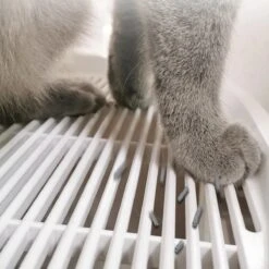 Skipoo Kattenbak Space Series - Kattenmand Met Lade - Inclusief Kattenbak Schep - Grote Kattenbak -Winkel Voor Kattenbenodigdheden 1200x1200 916