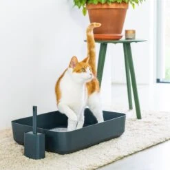 Hoopo® Poh Kattenbak Grijs - Open Kattenbak - Design Kattenbak - Kattenbakschep - 50x37.5x12.7 Cm - Grote Kattenbak 10 Hoopo® Poh Kattenbak Grijs - Open Kattenbak - Design Kattenbak - Kattenbakschep - 50x37.5x12.7 Cm - Grote Kattenbak -Winkel Voor Kattenbenodigdheden 1200x1200 933