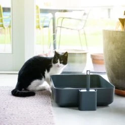 Hoopo® Poh Kattenbak Grijs - Open Kattenbak - Design Kattenbak - Kattenbakschep - 50x37.5x12.7 Cm - Grote Kattenbak 11 Hoopo® Poh Kattenbak Grijs - Open Kattenbak - Design Kattenbak - Kattenbakschep - 50x37.5x12.7 Cm - Grote Kattenbak -Winkel Voor Kattenbenodigdheden 1200x1200 934