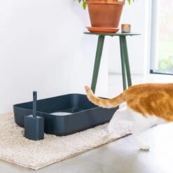 Hoopo® Poh Kattenbak Grijs - Open Kattenbak - Design Kattenbak - Kattenbakschep - 50x37.5x12.7 Cm - Grote Kattenbak 13 Hoopo® Poh Kattenbak Grijs - Open Kattenbak - Design Kattenbak - Kattenbakschep - 50x37.5x12.7 Cm - Grote Kattenbak -Winkel Voor Kattenbenodigdheden 1200x1200 936