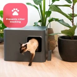 Hoopo® Dome Kattenbak Grijs - Kattenbak - Kattenbakschep - Kattenbakmat 19 Hoopo® Dome Kattenbak Grijs - Kattenbak - Kattenbakschep - Kattenbakmat -Winkel Voor Kattenbenodigdheden 1200x1200 940