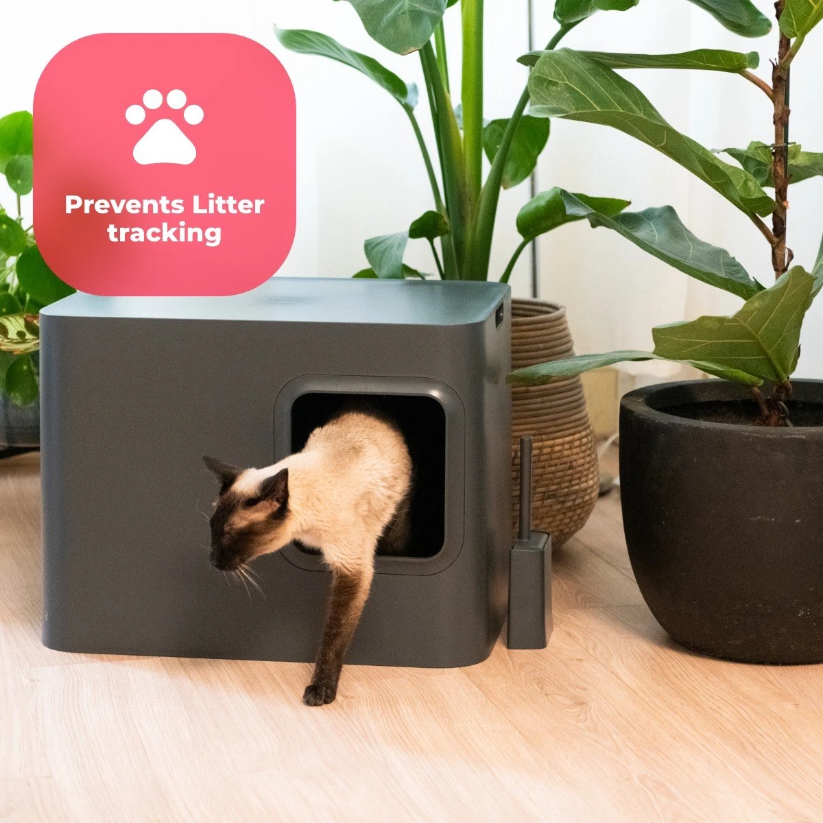 Hoopo® Dome Kattenbak Grijs - Kattenbak - Kattenbakschep - Kattenbakmat 11 Hoopo® Dome Kattenbak Grijs - Kattenbak - Kattenbakschep - Kattenbakmat - Afbeelding 9