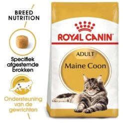 Royal Canin Maine Coon Adult - Kattenvoer - 10 Kg 15 Royal Canin Maine Coon Adult - Kattenvoer - 10 Kg -Winkel Voor Kattenbenodigdheden 1200x1200 96
