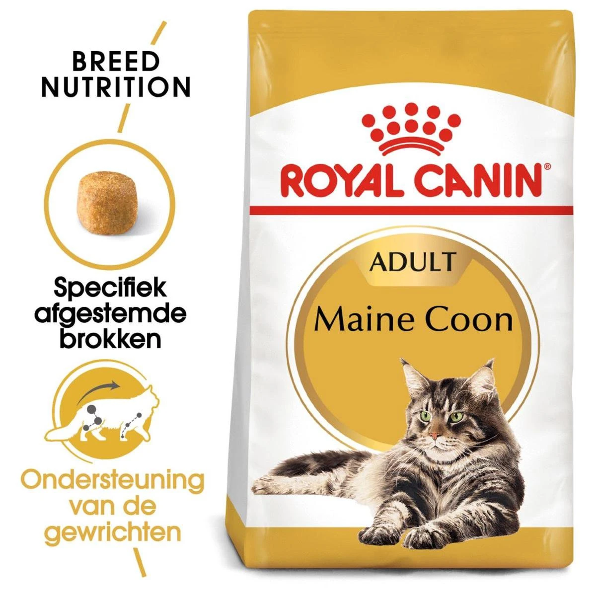 Royal Canin Maine Coon Adult - Kattenvoer - 10 Kg 4 Royal Canin Maine Coon Adult - Kattenvoer - 10 Kg - Afbeelding 2