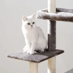 Signature Home Catty Krabpaal Met Kattenbak - Kattenbakkast - Kattenhuis Met Deur En Slot - Krabpalen Met Hangmat Mand Katten Huis - Kattenbakmeubel Verborgen - Alles-in-één Kattenspeelgoed Met Kattenhuis - Grijs - 60cm X 150cm X 48cm -Winkel Voor Kattenbenodigdheden 1200x1200 963