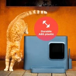 Hoopo® Dome Plus Kattenbak Grijs - Kattenbak - Kattenbakschep - 50x37.5x38cm - Grote Kattenbak 16 Hoopo® Dome Plus Kattenbak Grijs - Kattenbak - Kattenbakschep - 50x37.5x38cm - Grote Kattenbak -Winkel Voor Kattenbenodigdheden 1200x1200 969