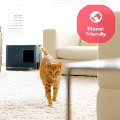 Hoopo® Dome Plus Kattenbak Grijs - Kattenbak - Kattenbakschep - 50x37.5x38cm - Grote Kattenbak 19 Hoopo® Dome Plus Kattenbak Grijs - Kattenbak - Kattenbakschep - 50x37.5x38cm - Grote Kattenbak -Winkel Voor Kattenbenodigdheden 1200x1200 970