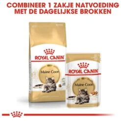 Royal Canin Maine Coon Adult - Kattenvoer - 10 Kg 19 Royal Canin Maine Coon Adult - Kattenvoer - 10 Kg -Winkel Voor Kattenbenodigdheden 1200x1200 99